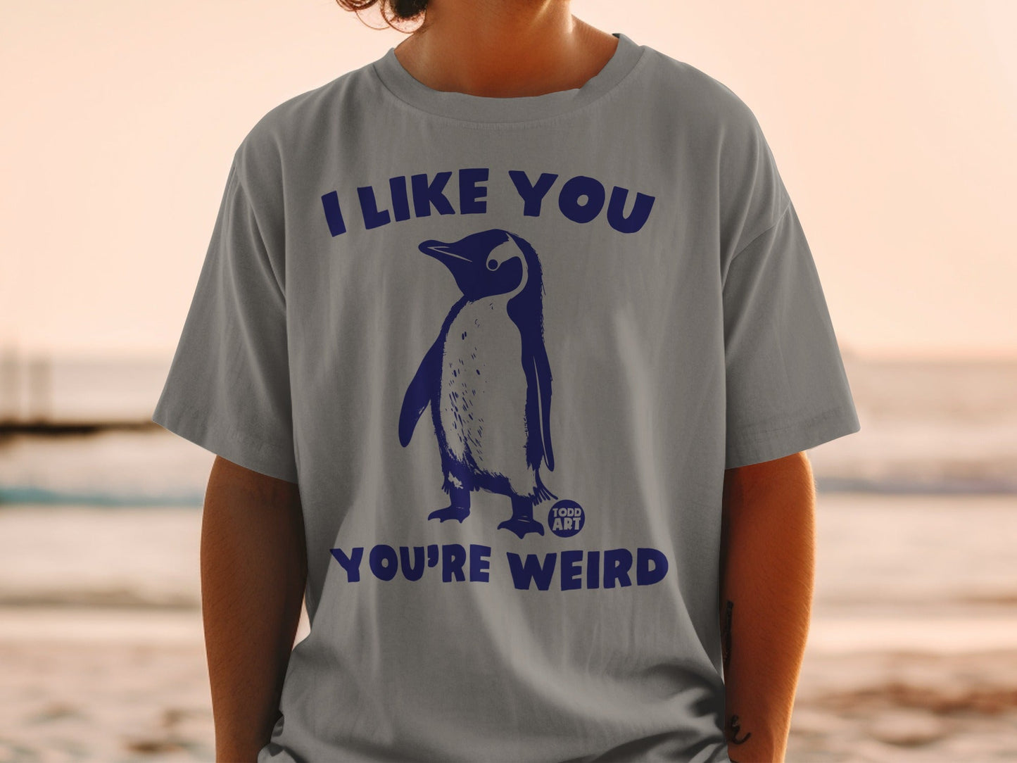 Grey t-shirt with a penguin and "I LIKE YOU YOU'RE WEIRD" text.