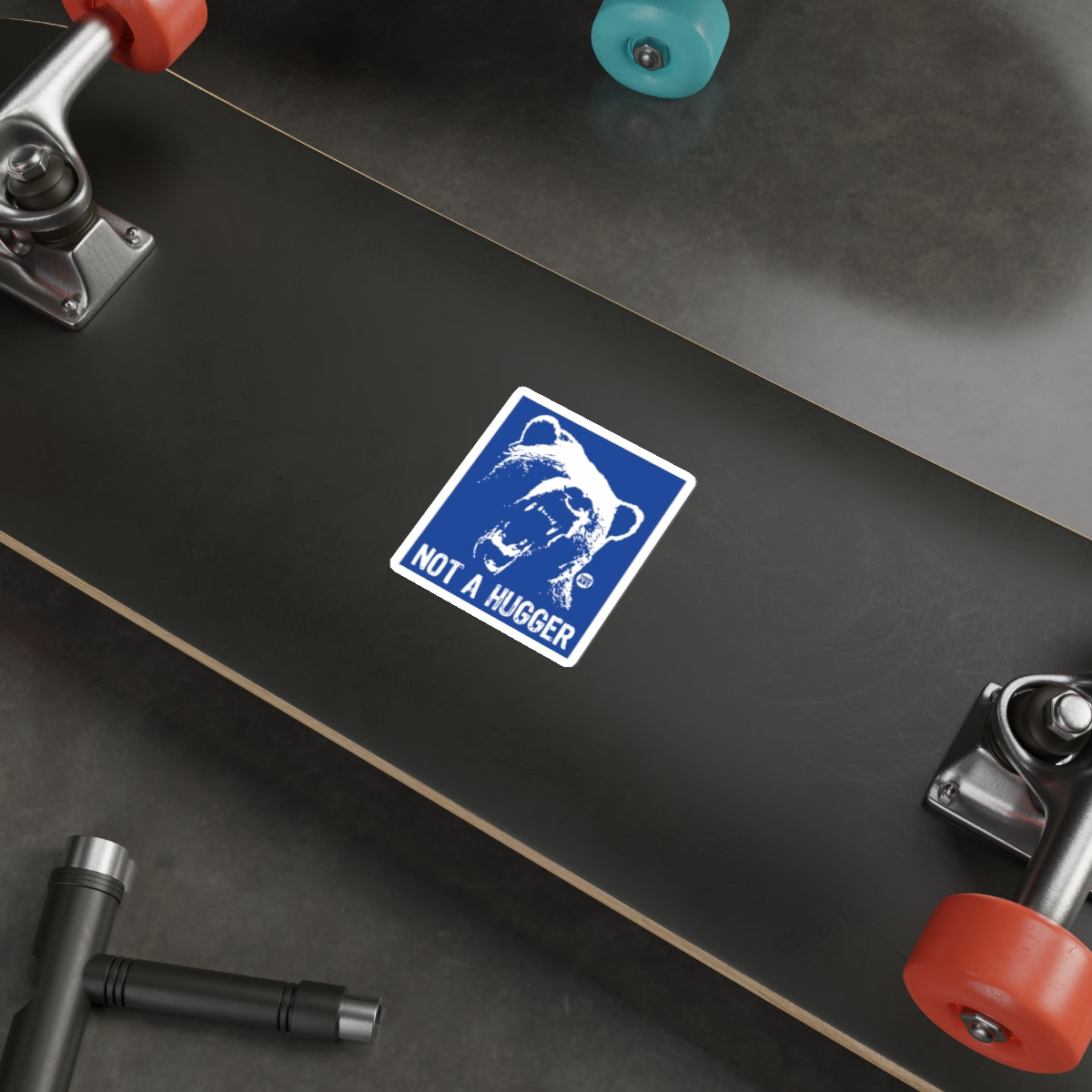 Not A Hugger Bear Warning Sticker Skateboard Decor