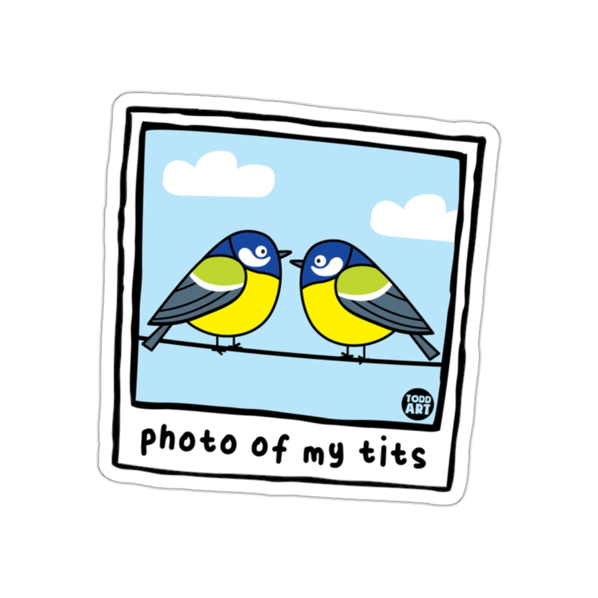 Photo Of My Tits Two Birds Sky Todd Art sticker