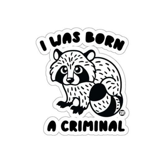 I Was Born A Criminal Cute Raccoon Funny sticker