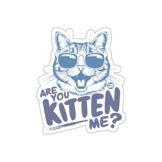 Are You Kitten Me Funny Cat With Sunglasses Design sticker