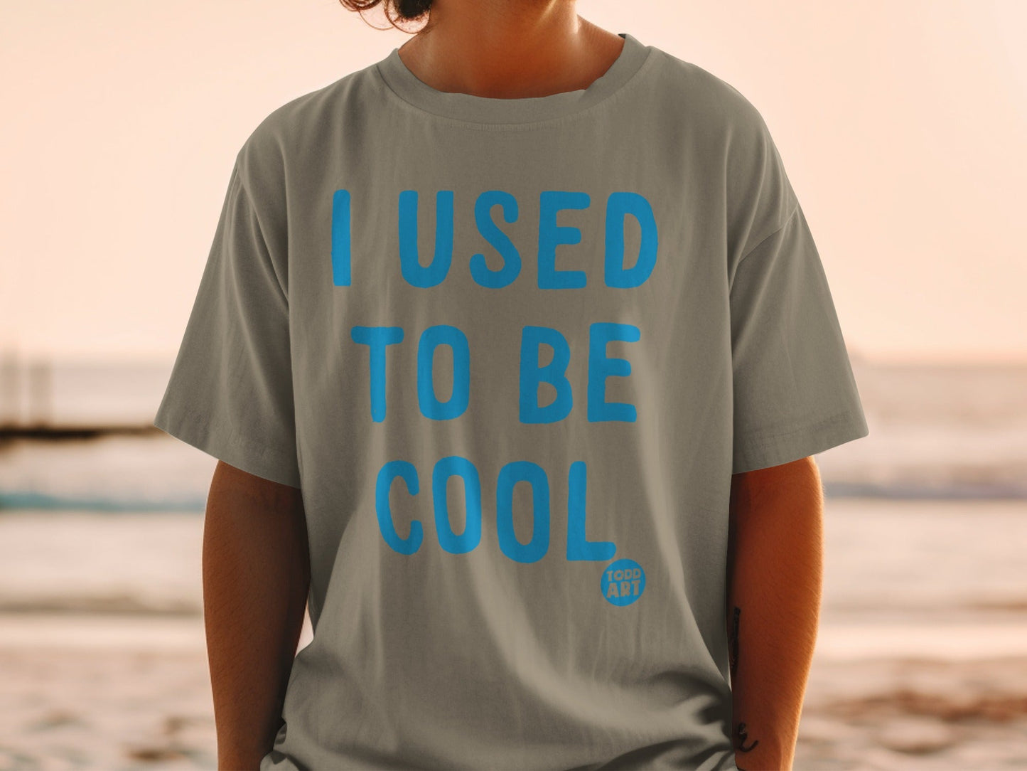 I Used To Be Cool Graphic Todd Art T-Shirt