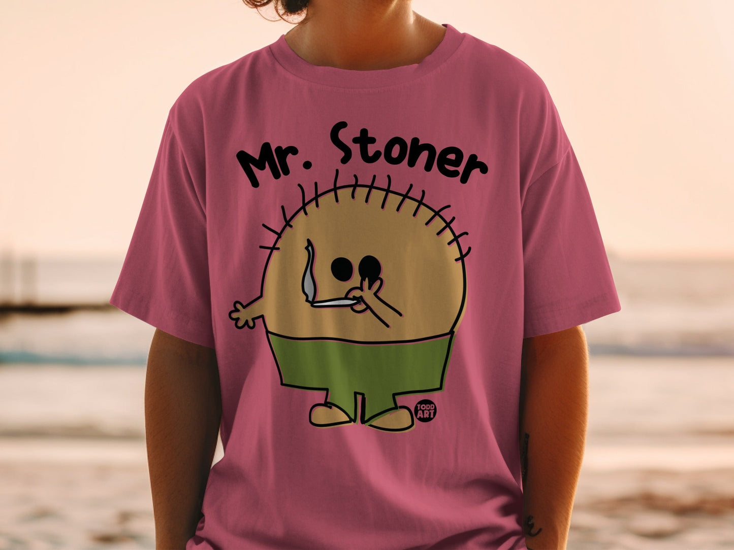 Mr. Stoner Funny Graphic Tee Shirt for Casual Wear