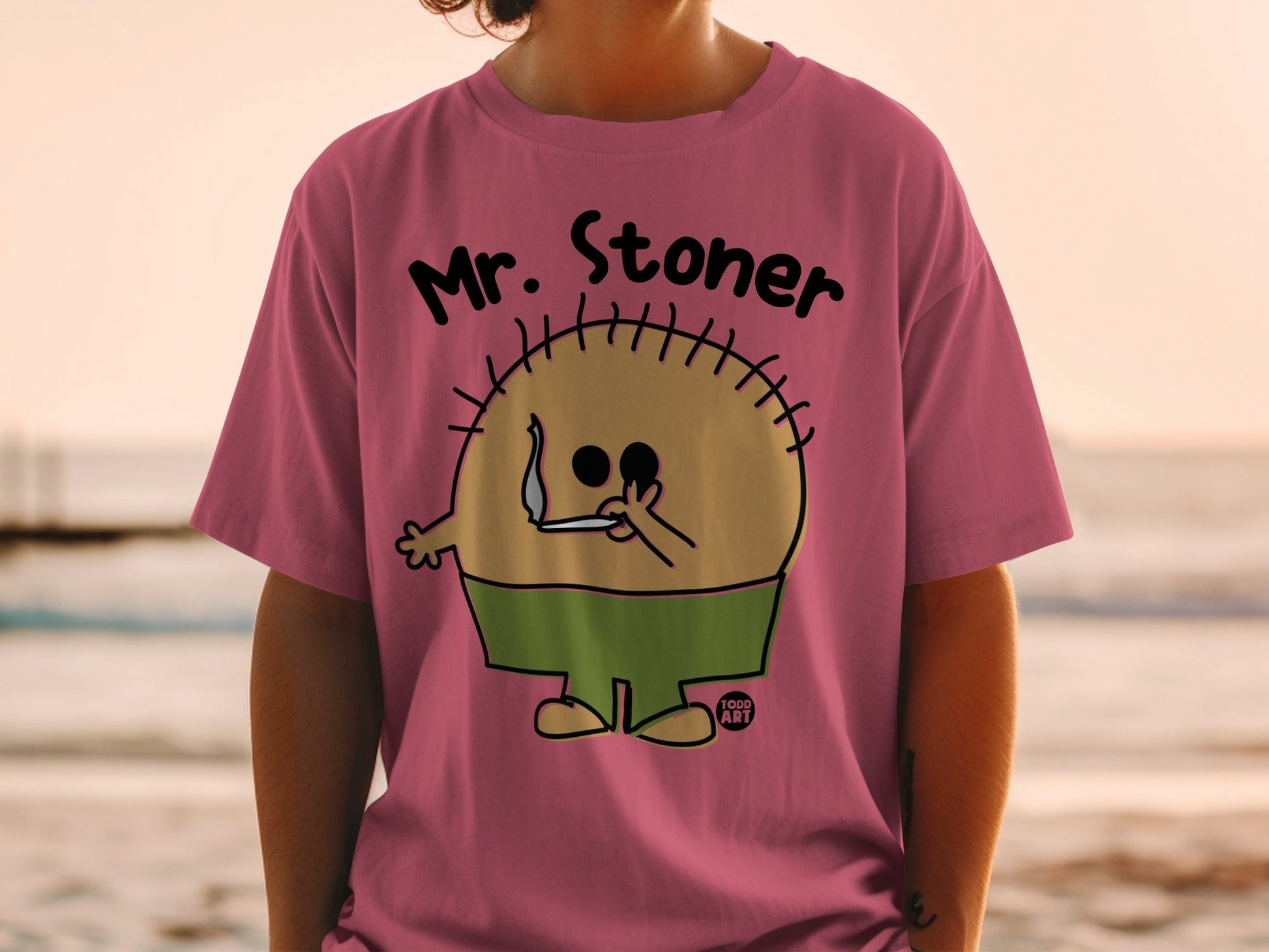 Mr. Stoner Funny Graphic Tee Shirt for Casual Wear