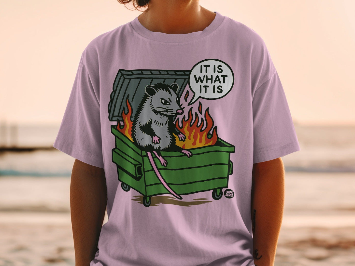 Opossum sitting in a dumpster with flames and "It is what it is" text.