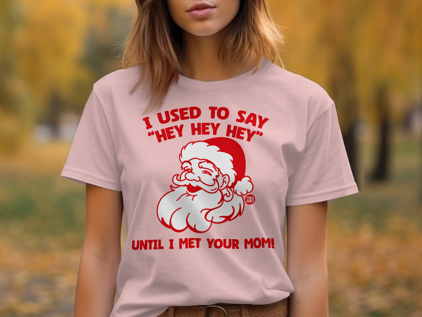 I Used to Say Hey Hey Hey Until I Met Your Mom Shirt