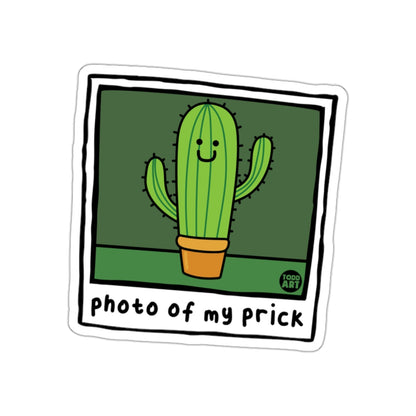 Photo Of My Prick Cactus Image Todd Art Design sticker
