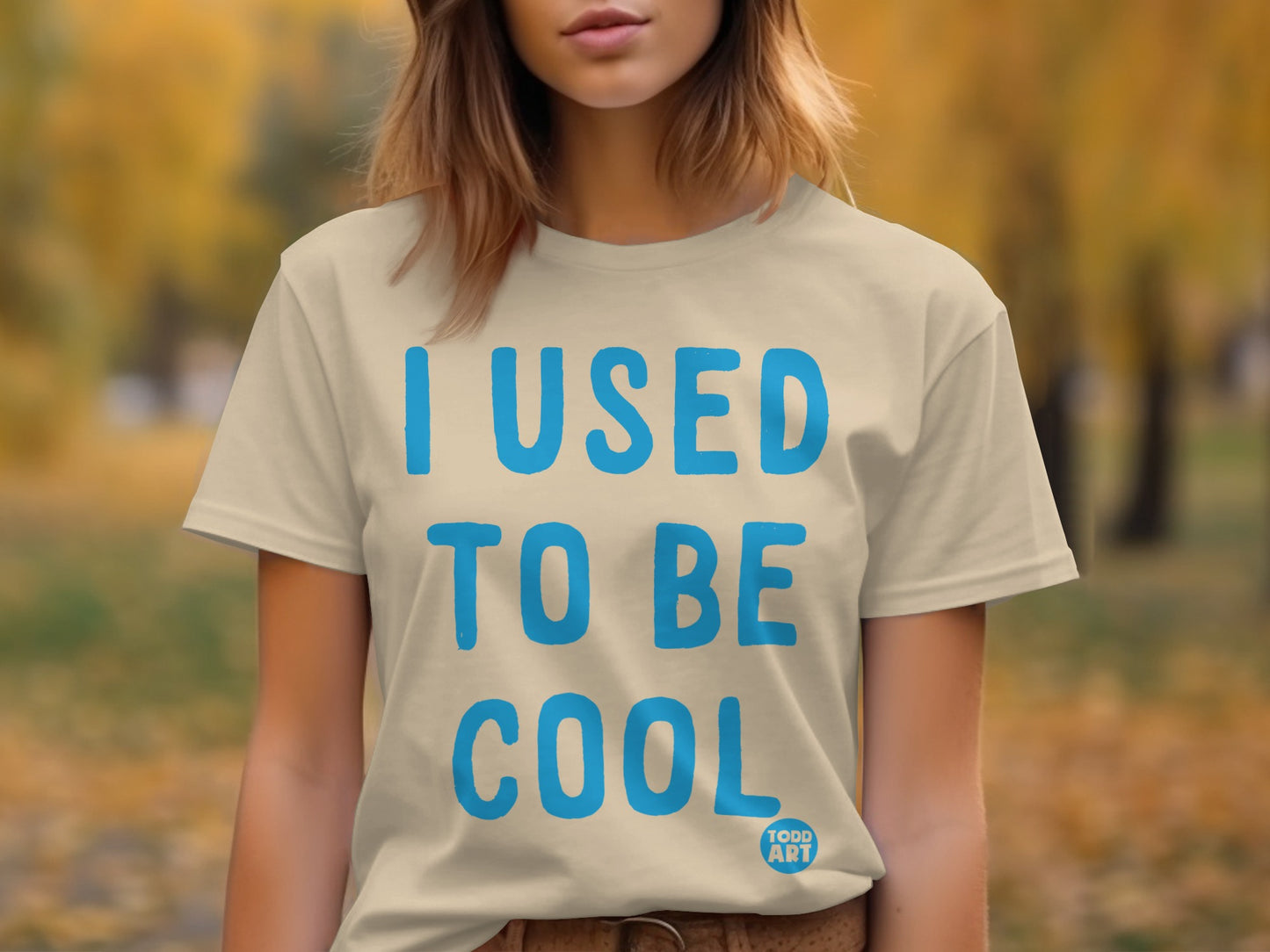 I Used to Be Cool Todd Art Graphic Shirt Product