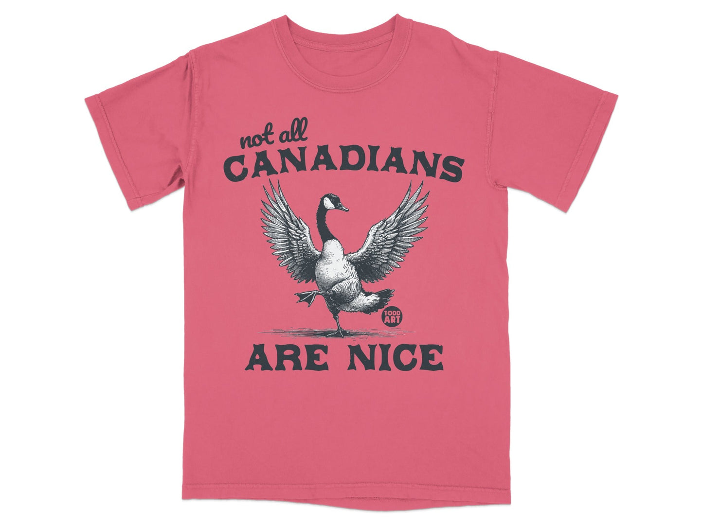 Not All Canadians Are Nice Goose Graphic T-Shirt