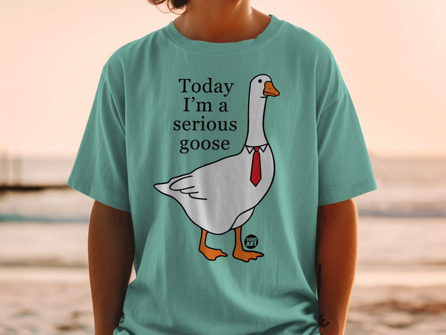 Today I'm a Serious Goose Graphic Tee Shirt