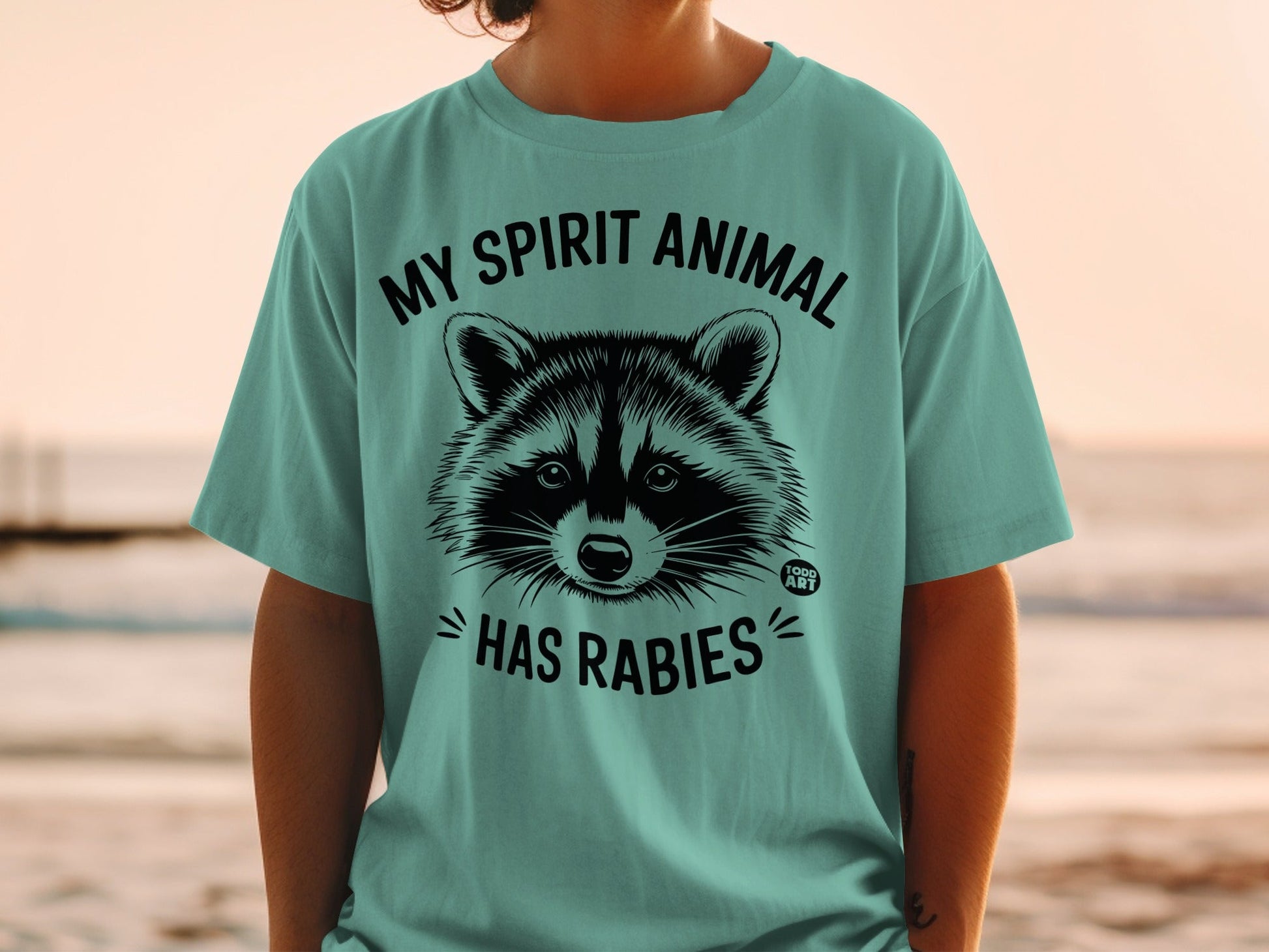 Teal t-shirt with a raccoon graphic and the text "MY SPIRIT ANIMAL HAS RABIES".