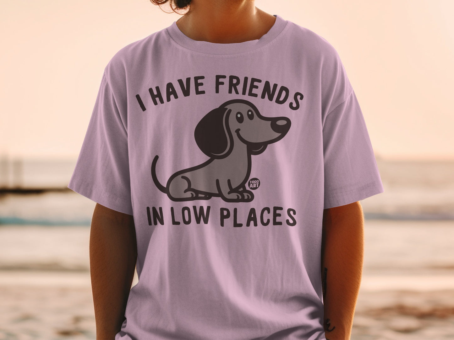 I Have Friends in Low Places Graphic T-shirt