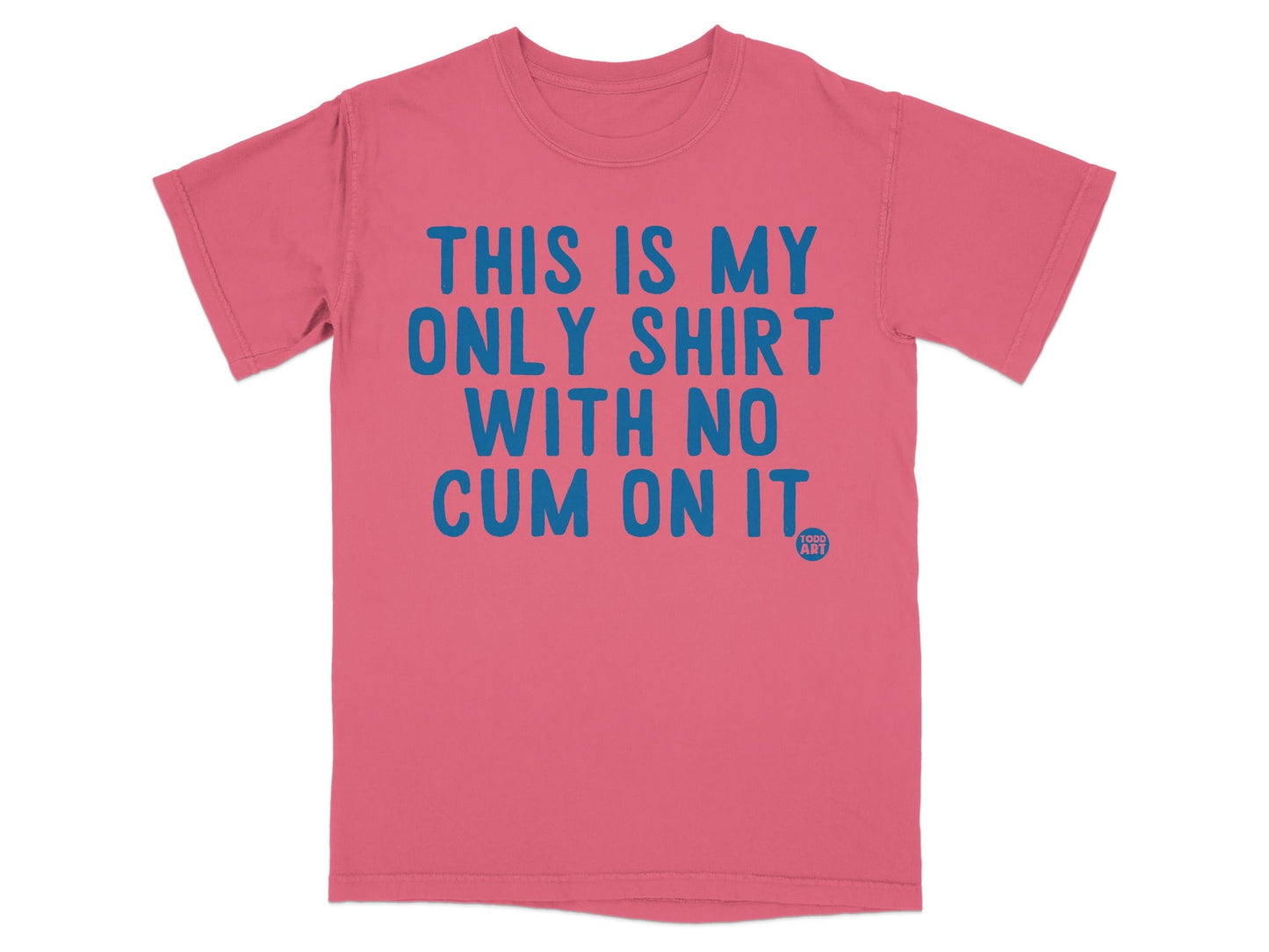 This is My Only Shirt With No Cum On It T-shirt