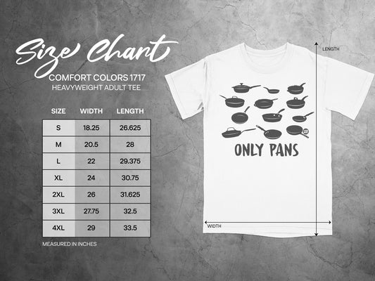 ONLY PANS COMFORT COLORS 1717 HEAVYWEIGHT ADULT TEE product type