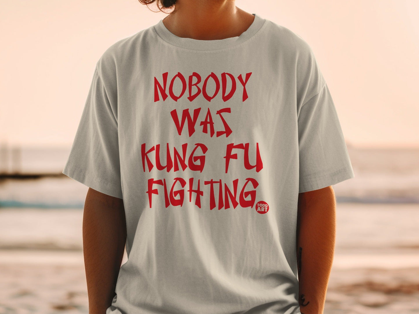 Nobody Was Kung Fu Fighting Graphic T-Shirt