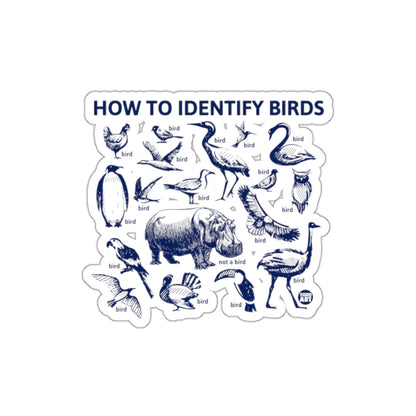 HOW TO IDENTIFY BIRDS DESIGN STICKER PRODUCT
