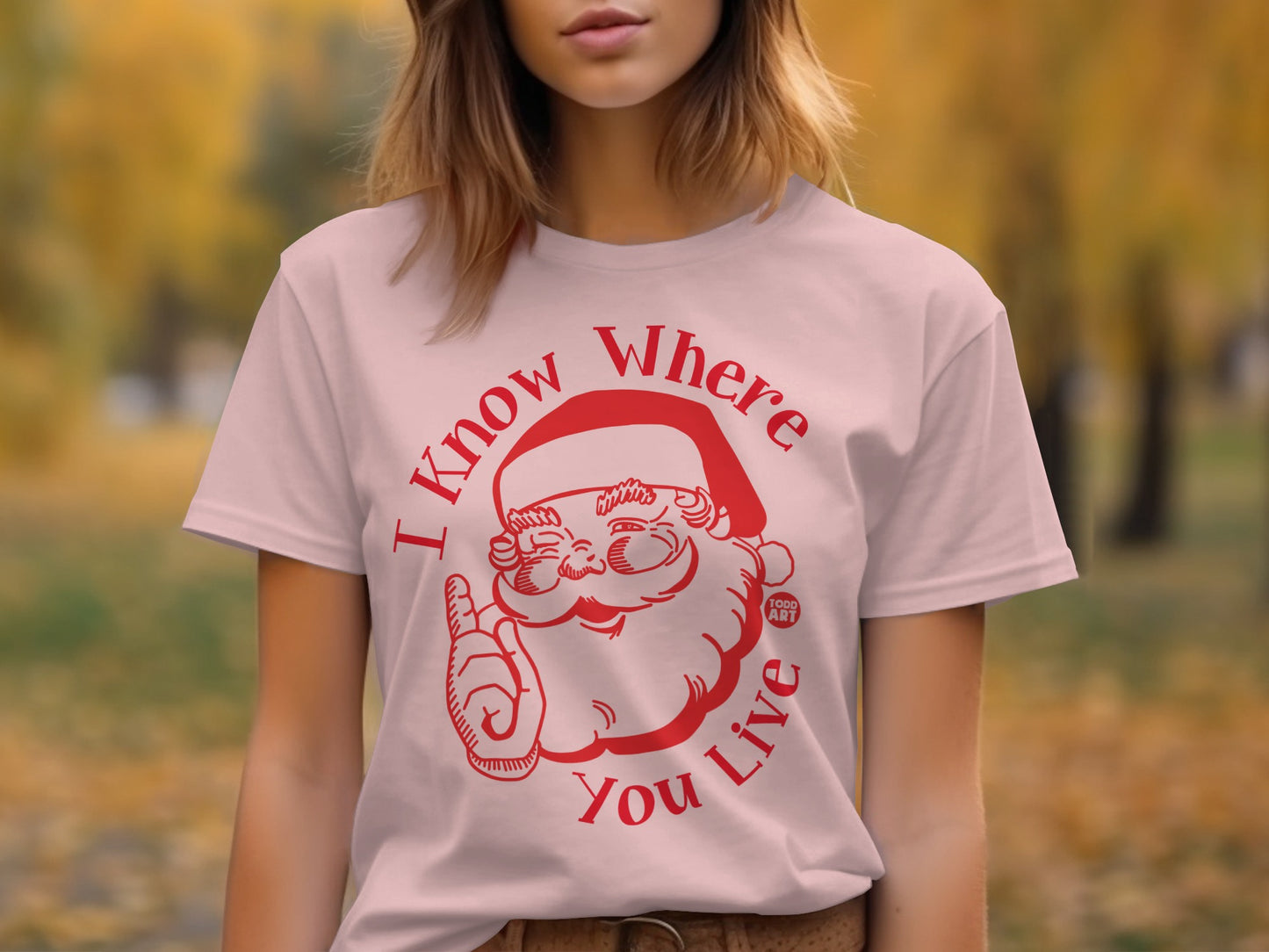 I Know Where You Live Santa Graphic Tee shirt