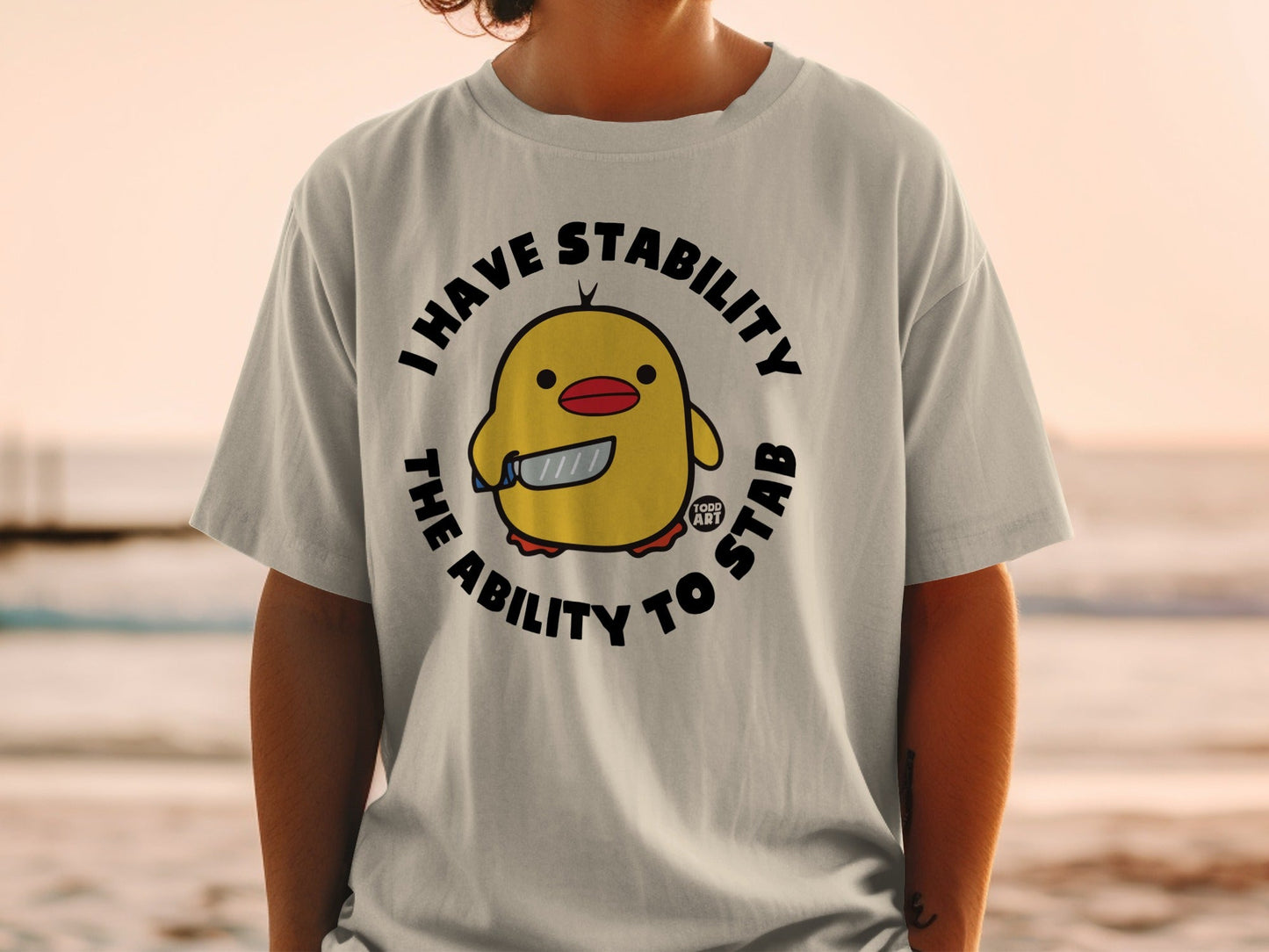 I Have Stability The Ability To Stab Graphic Tee