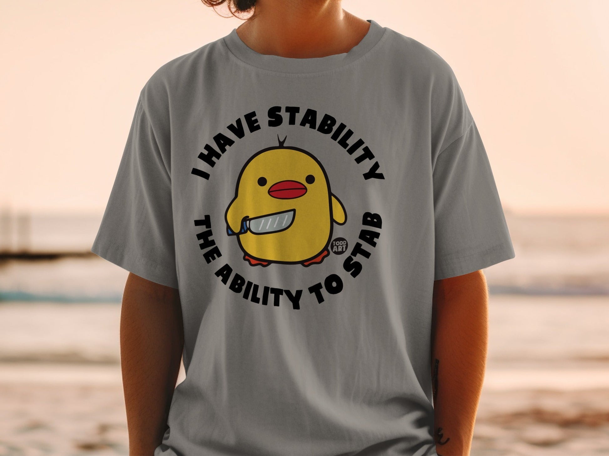 I Have Stability The Ability To Stab Graphic T-shirt