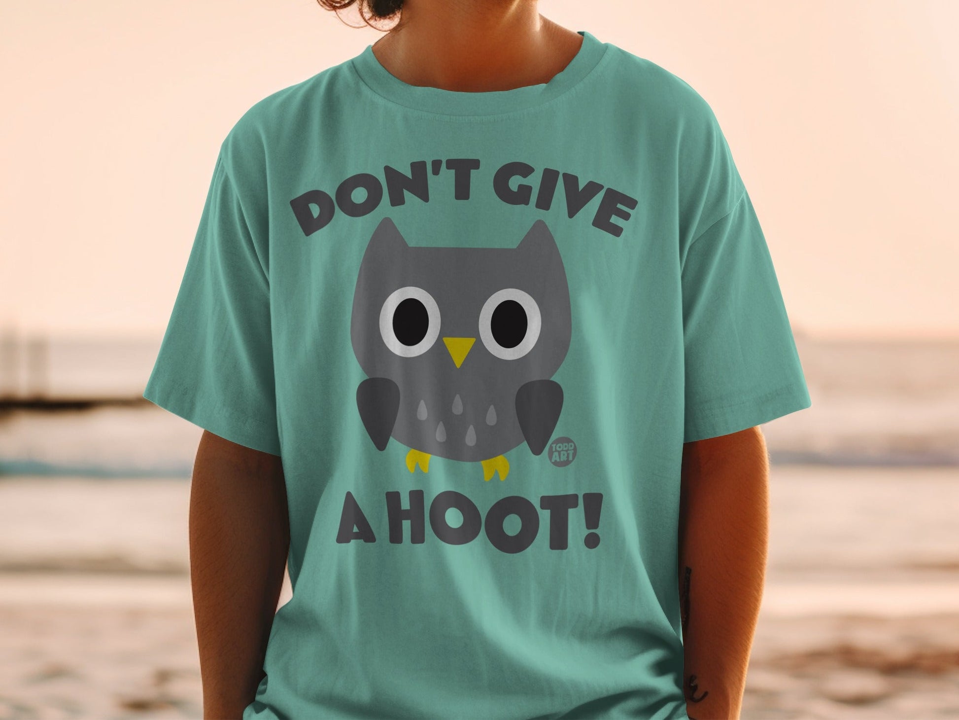 Teal t-shirt with dark gray owl graphic and "DON'T GIVE A HOOT!" text.