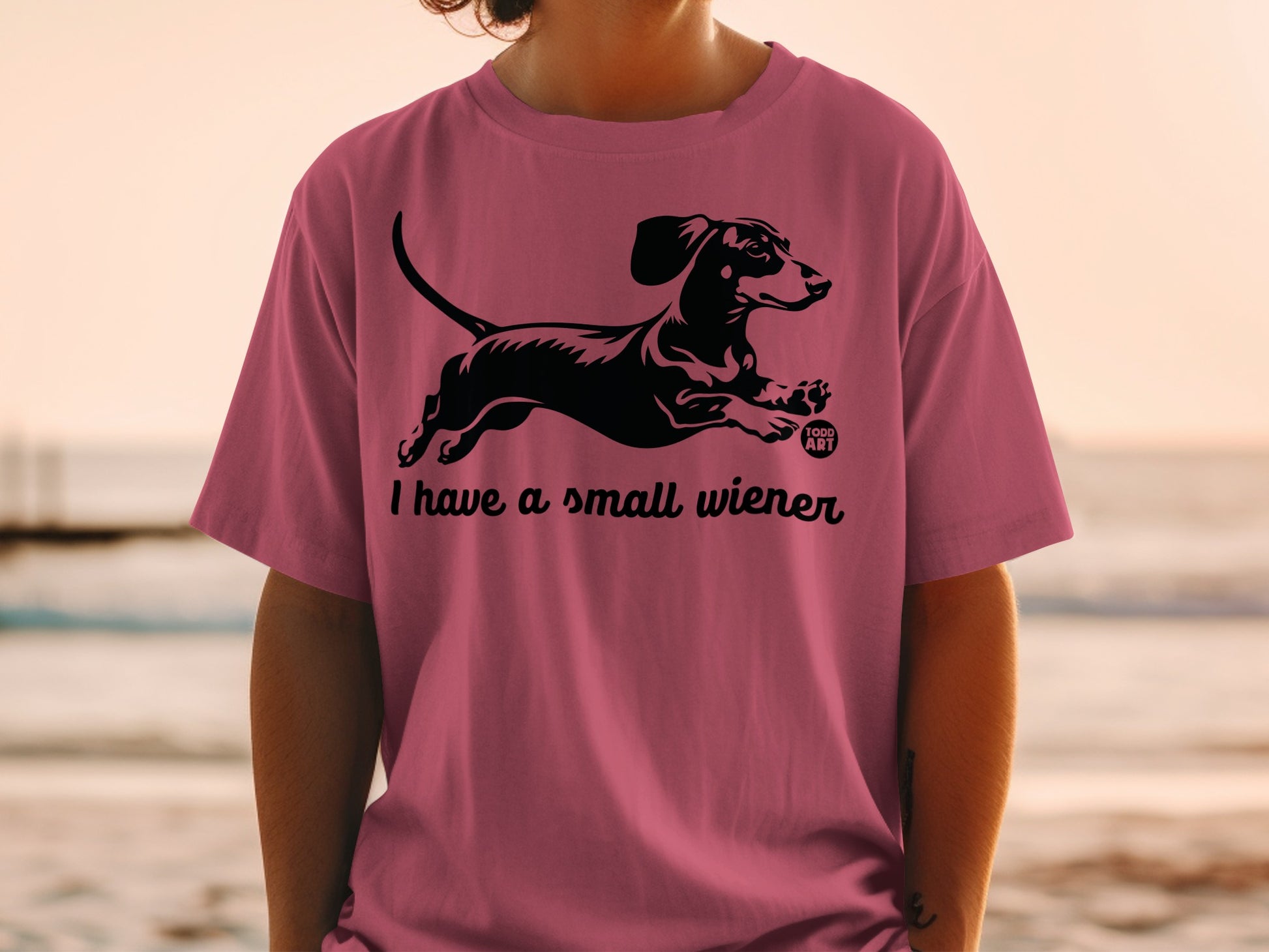 I Have a Small Wiener Todd Art T-Shirt