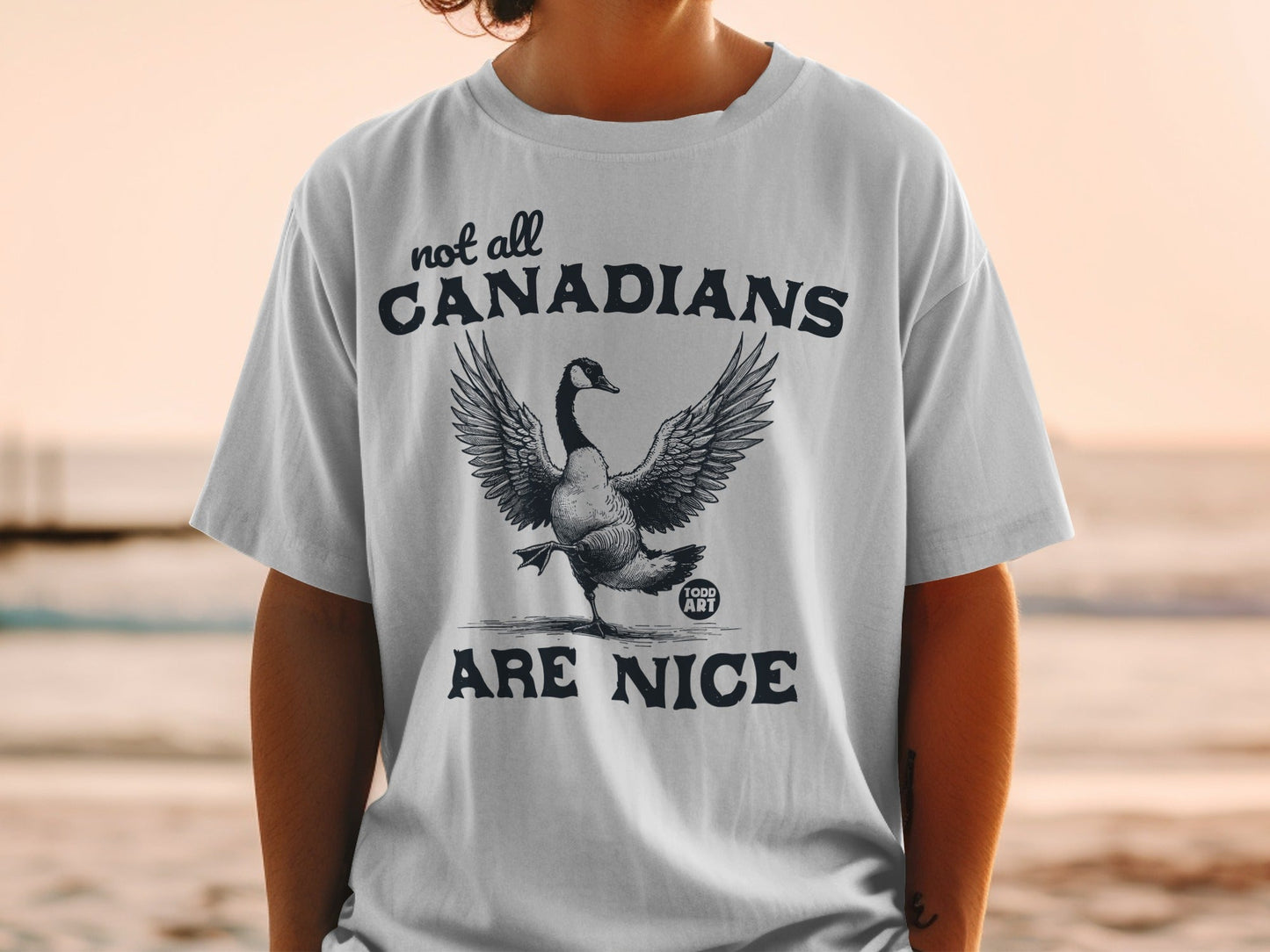 Not All Canadians Are Nice Graphic T-Shirt