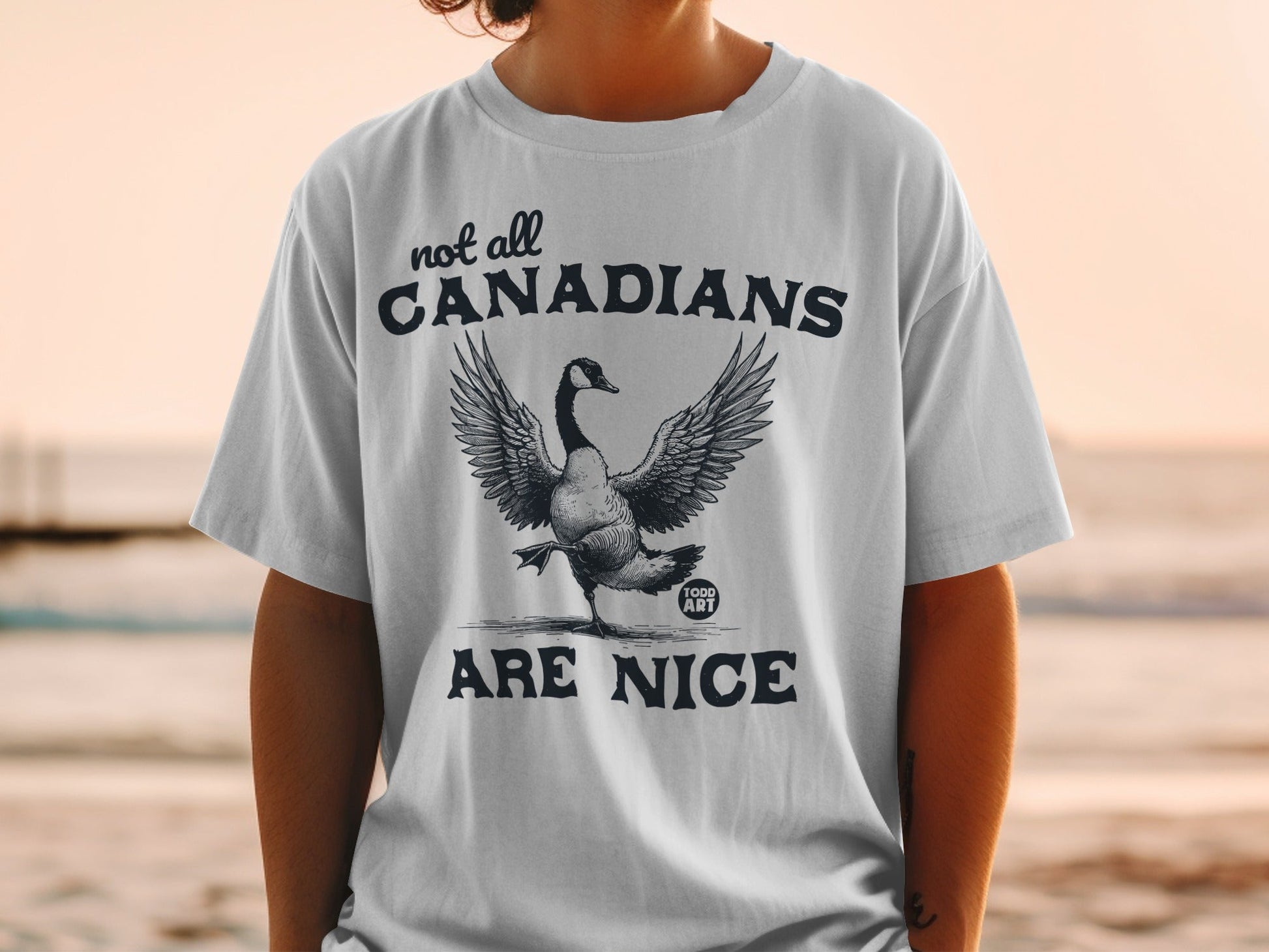 Not All Canadians Are Nice Graphic T-Shirt