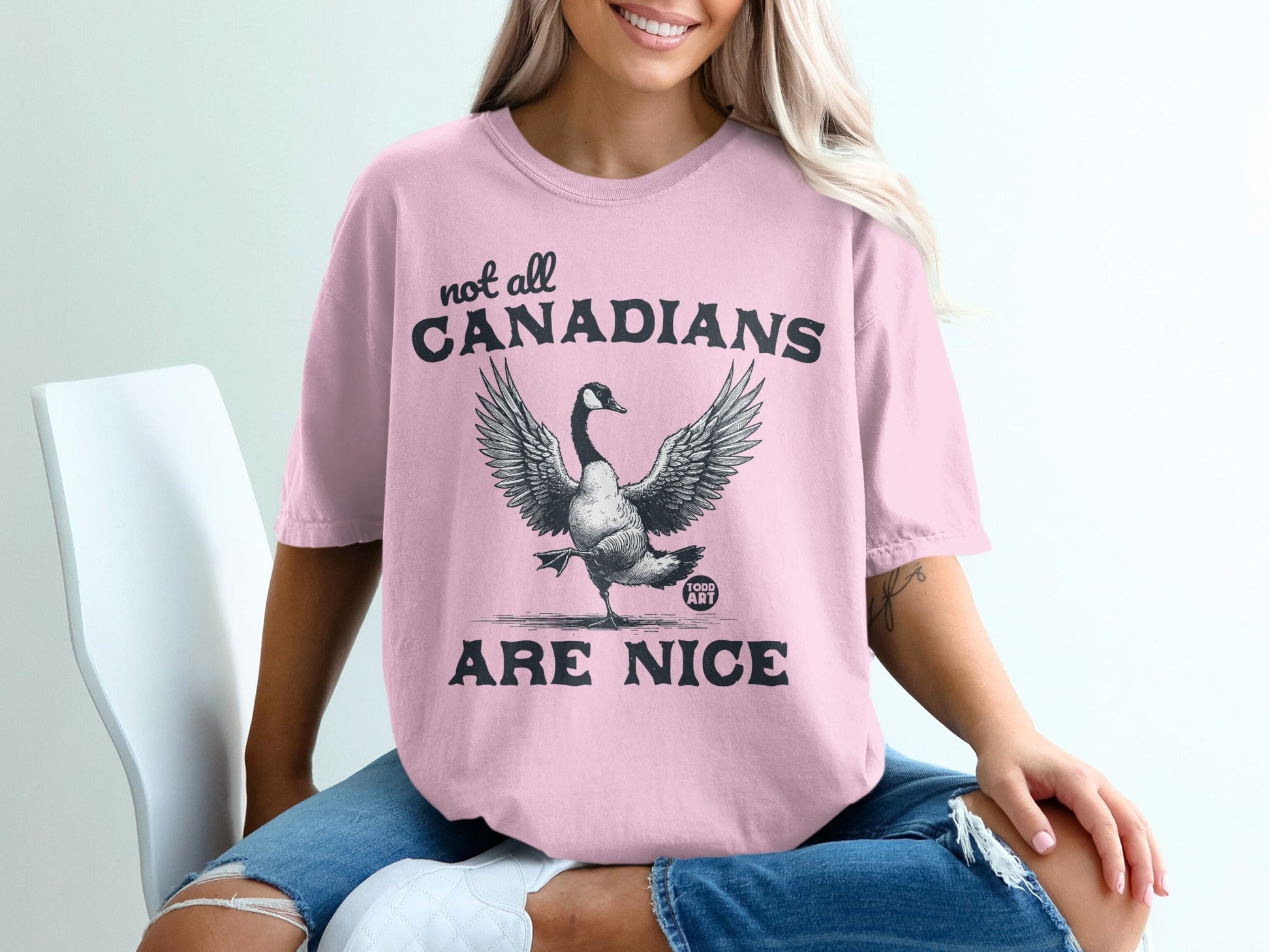 Not All Canadians Are Nice Graphic T-Shirt