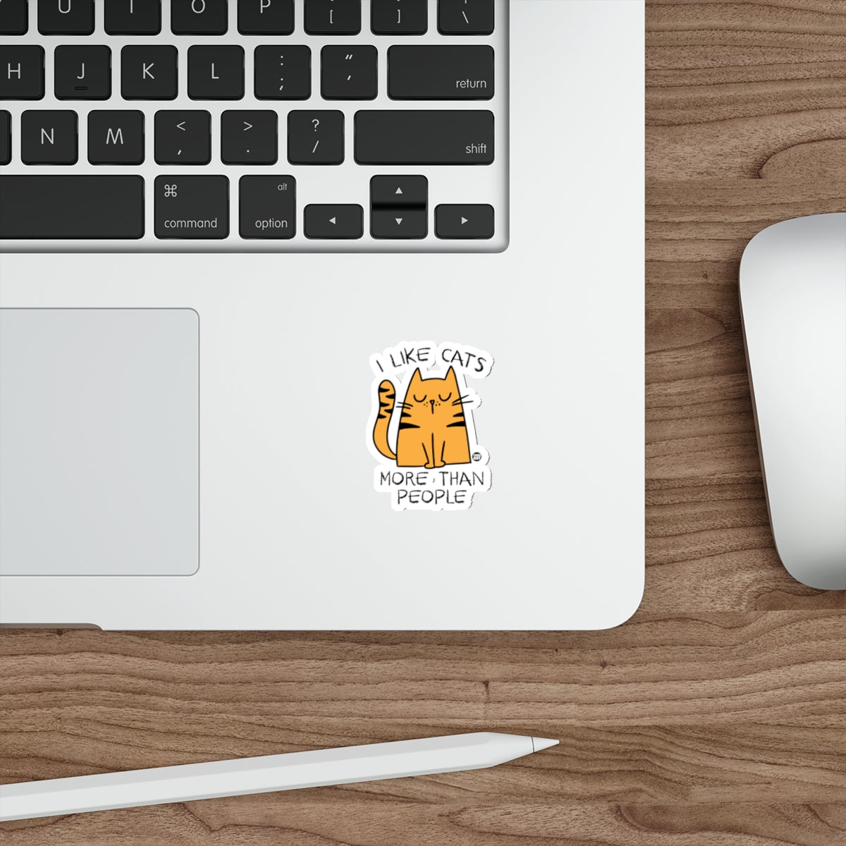 Sticker of an orange cat with text "I like cats more than people."