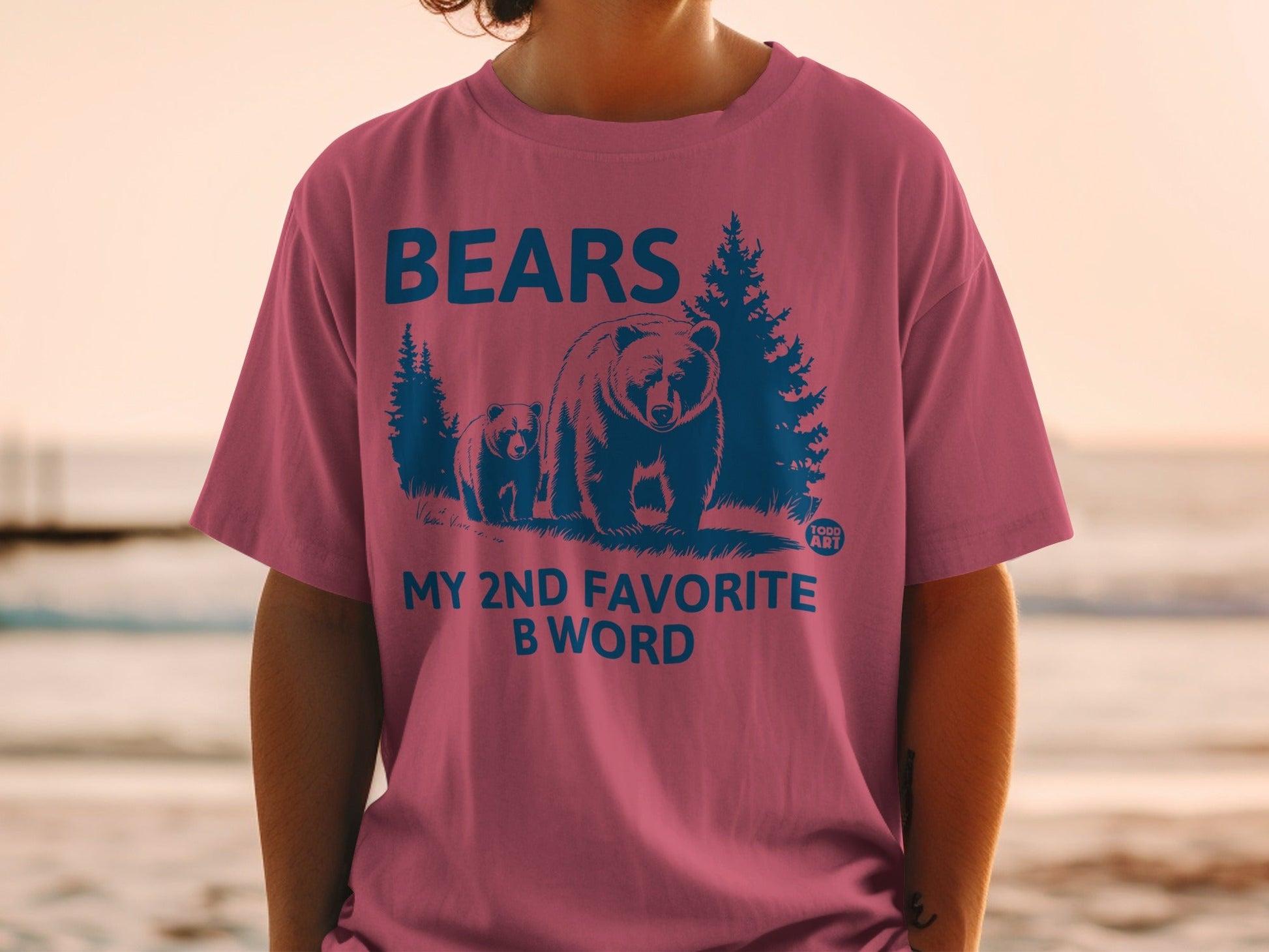 BEARS My 2nd Favorite B Word Graphic Shirt