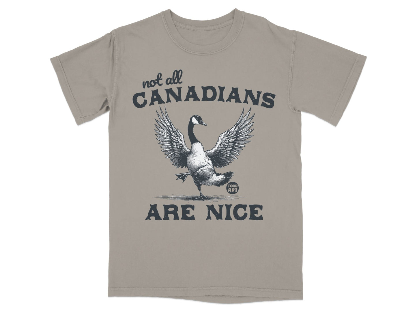 Not All Canadians Are Nice Graphic T-Shirt