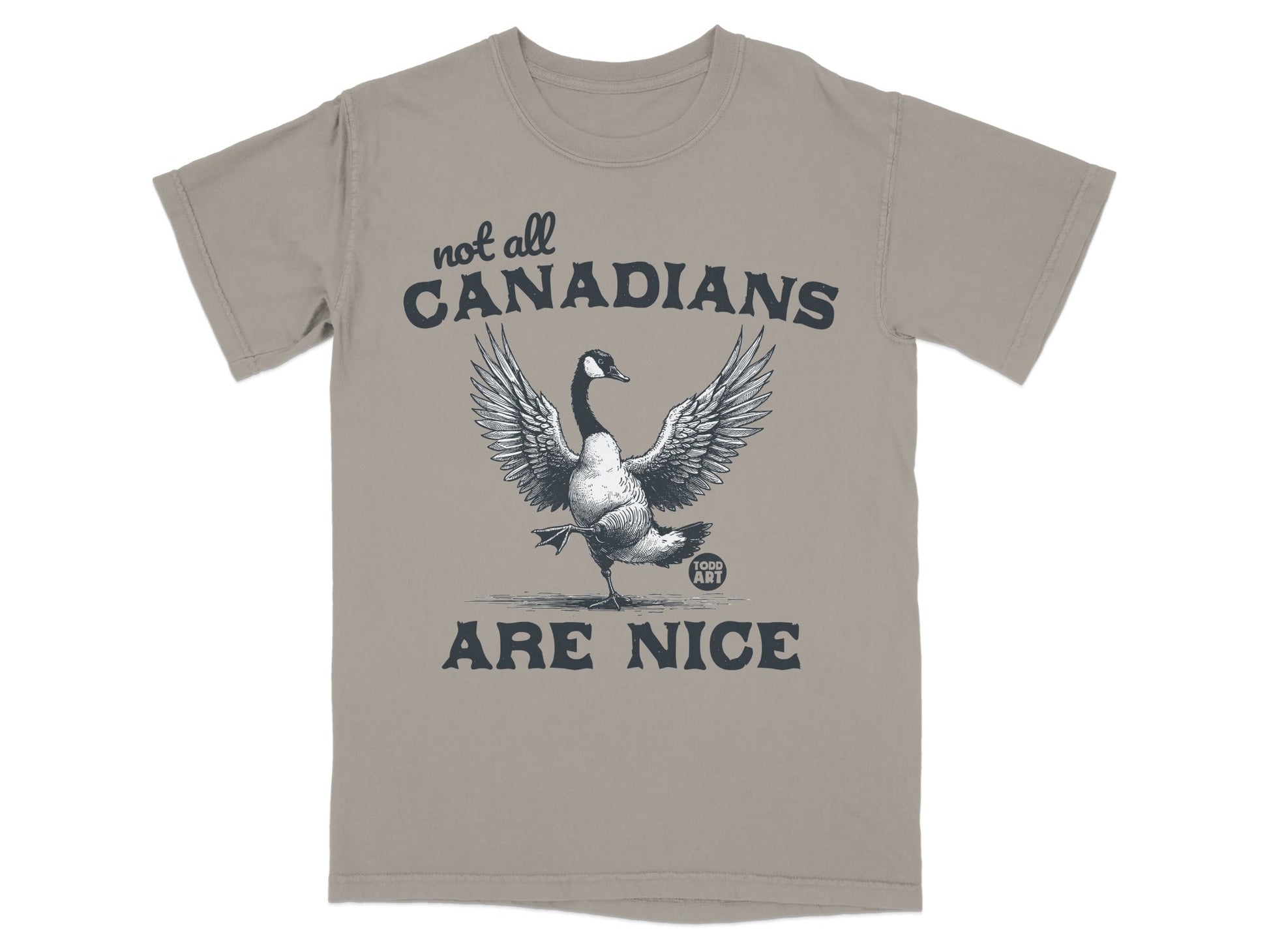 Not All Canadians Are Nice Graphic T-Shirt
