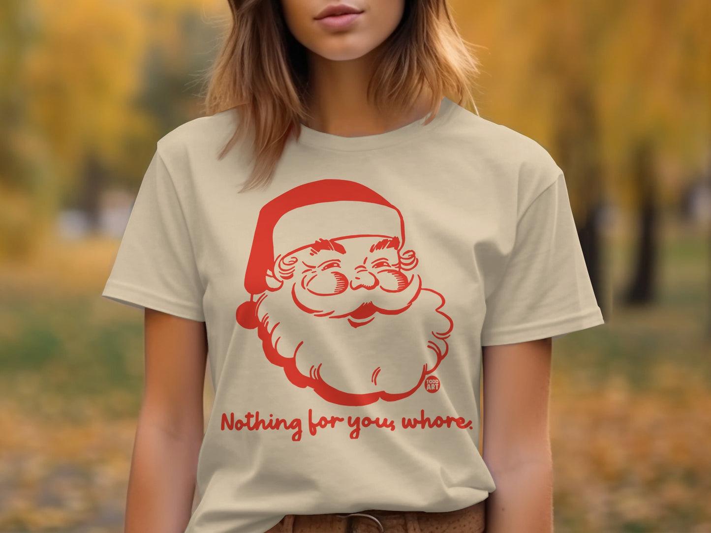 Vintage Santa Nothing for You Whore T-shirt