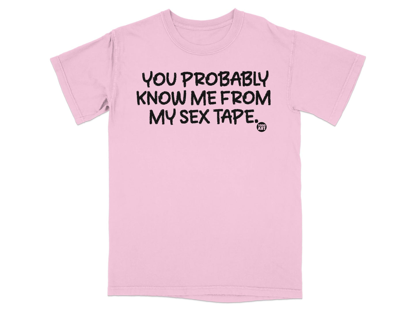 You Probably Know Me From My Sex Tape T-Shirt