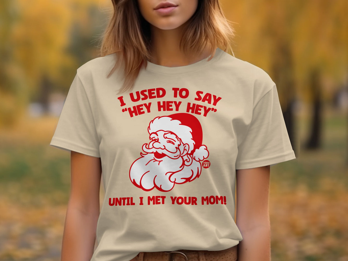 I Used To Say Hey Hey Hey Until I Met Your Mom Shirt