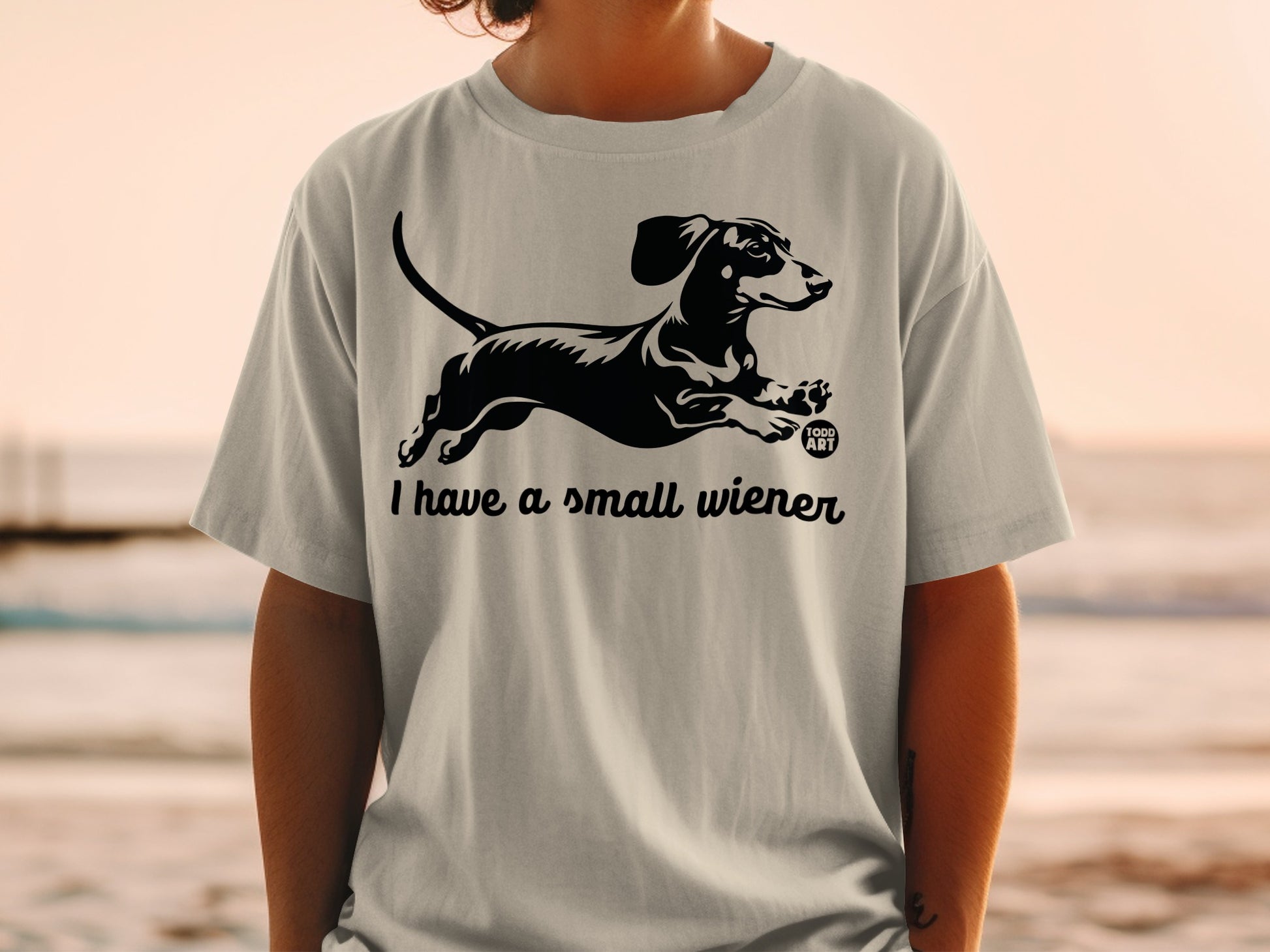 I Have a Small Wiener Funny Toddler Art T-Shirt
