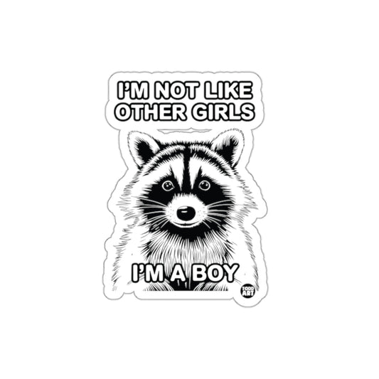 I am Not Like Other Girls Raccoon Boy Funny sticker