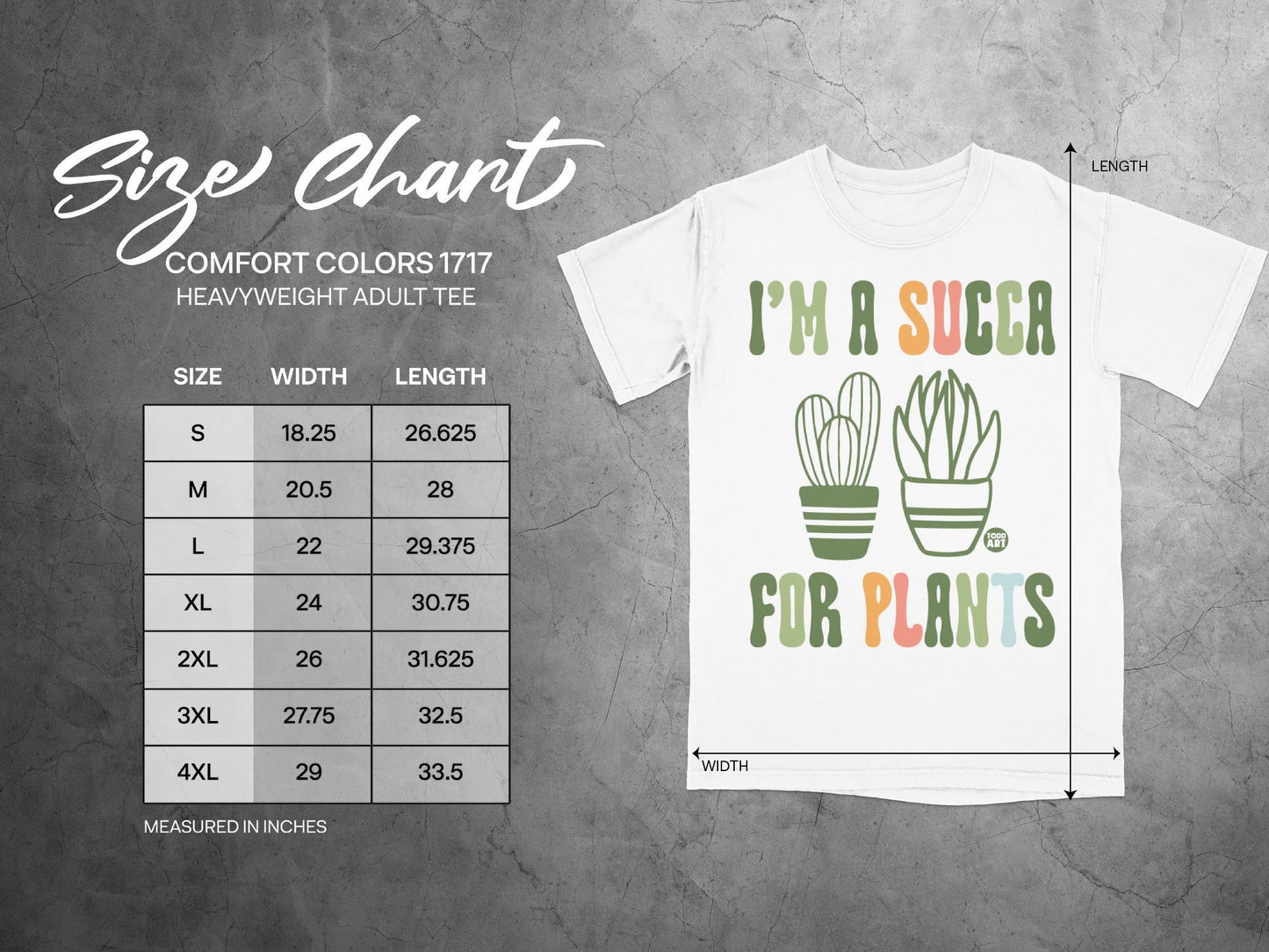 Comfort Colors 1717 size chart for heavyweight adult tee with succulent graphic.