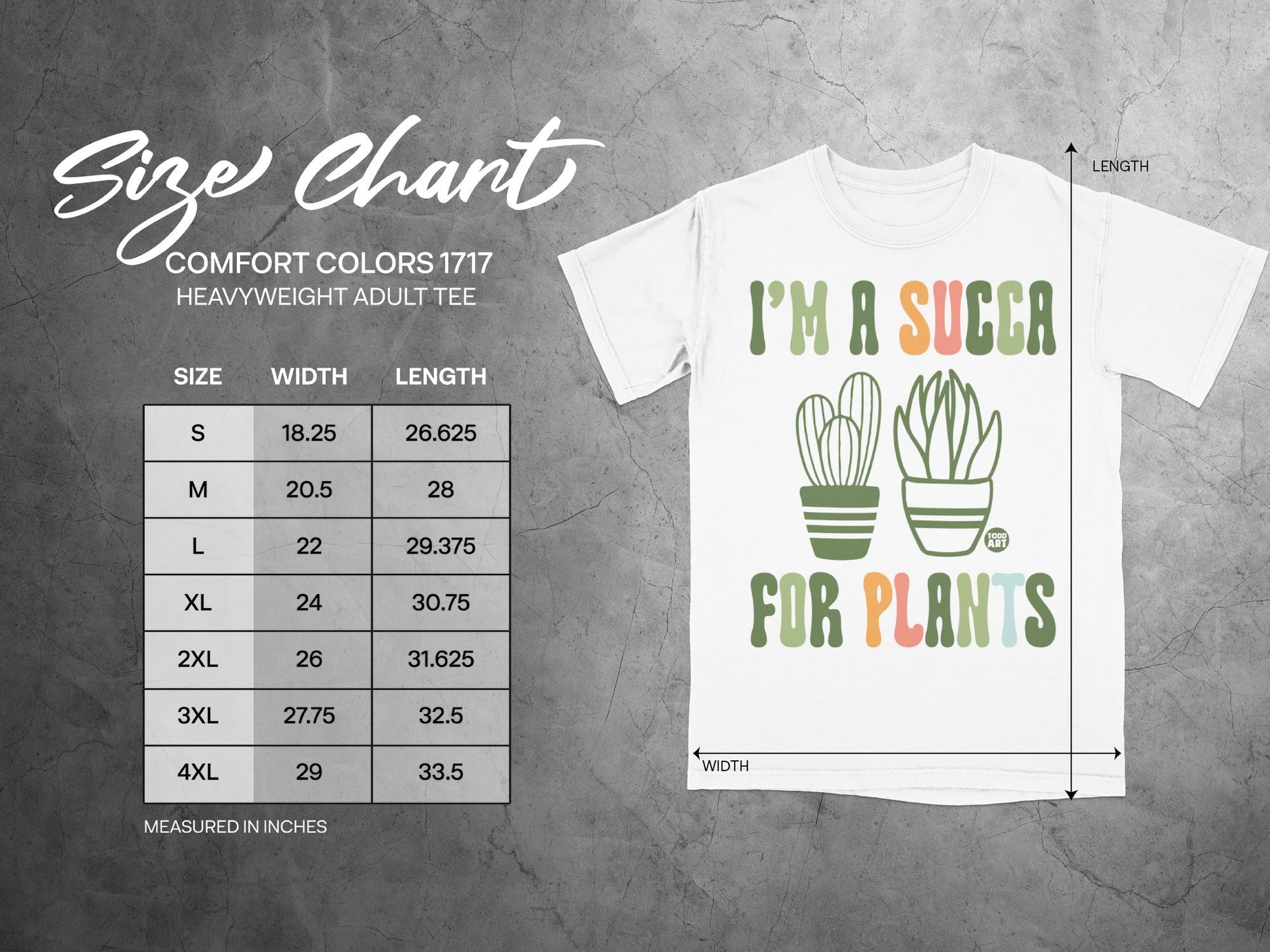 Comfort Colors 1717 size chart for heavyweight adult tee with succulent graphic.