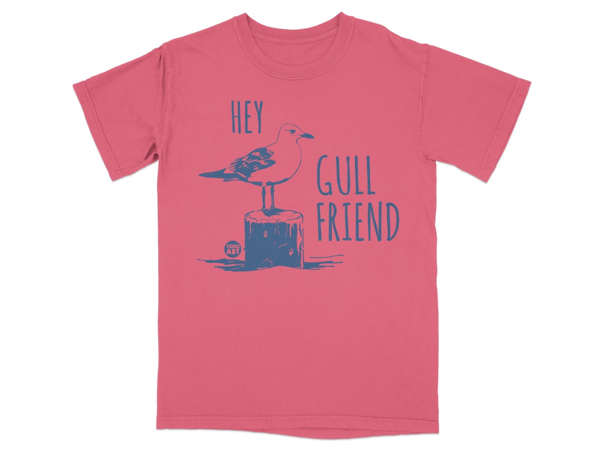 Hey Gull Friend Graphic Seagull T-Shirt Product