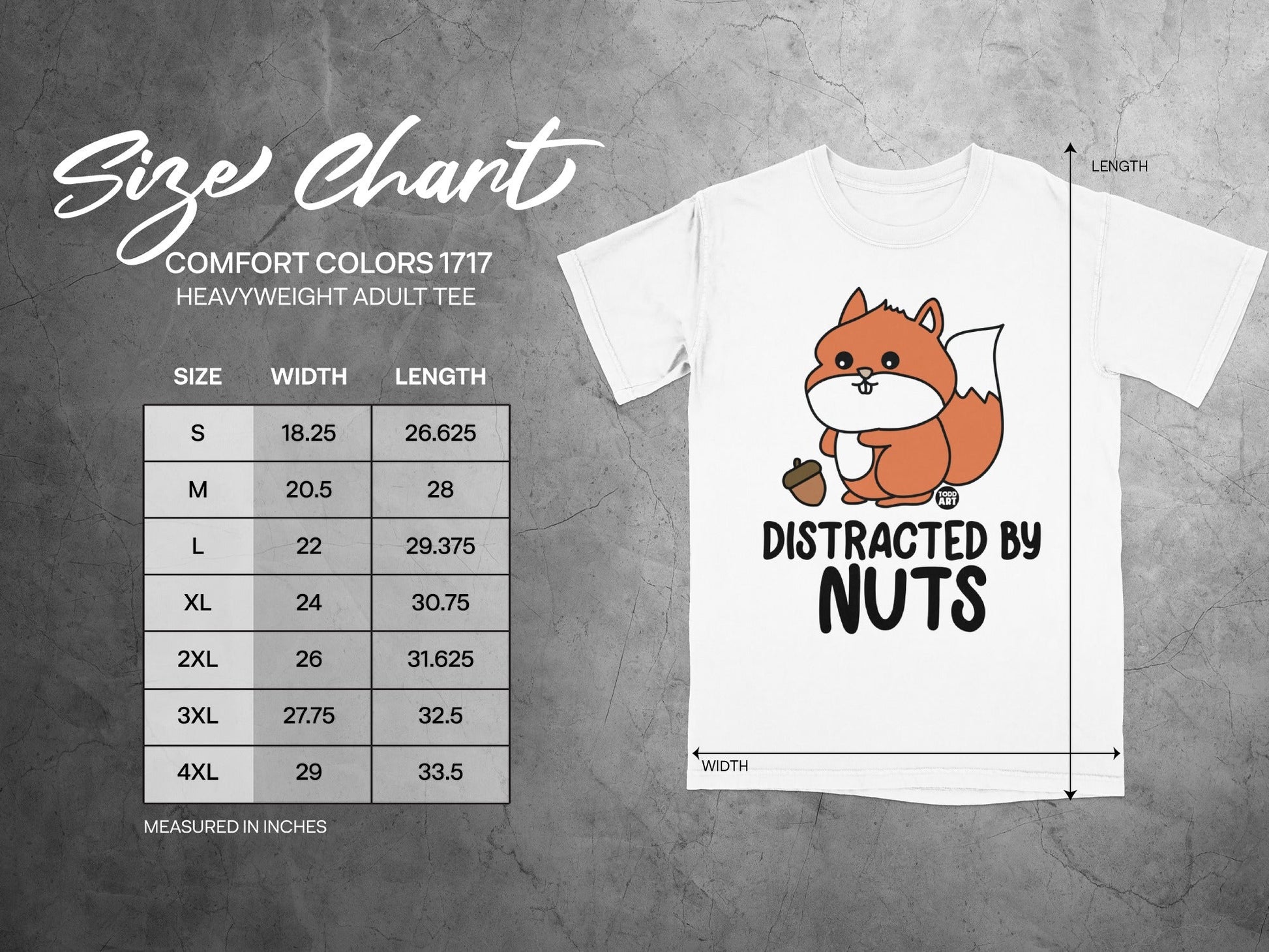 Comfort Colors 1717 heavyweight t-shirt size chart with cartoon squirrel and text.