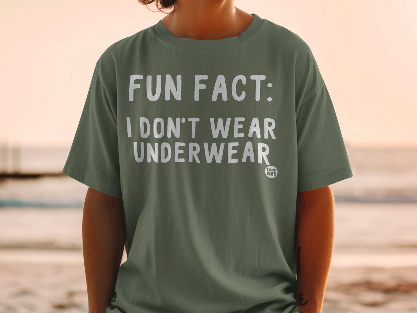 Fun Fact I Don't Wear Underwear Todd Art T-Shirt
