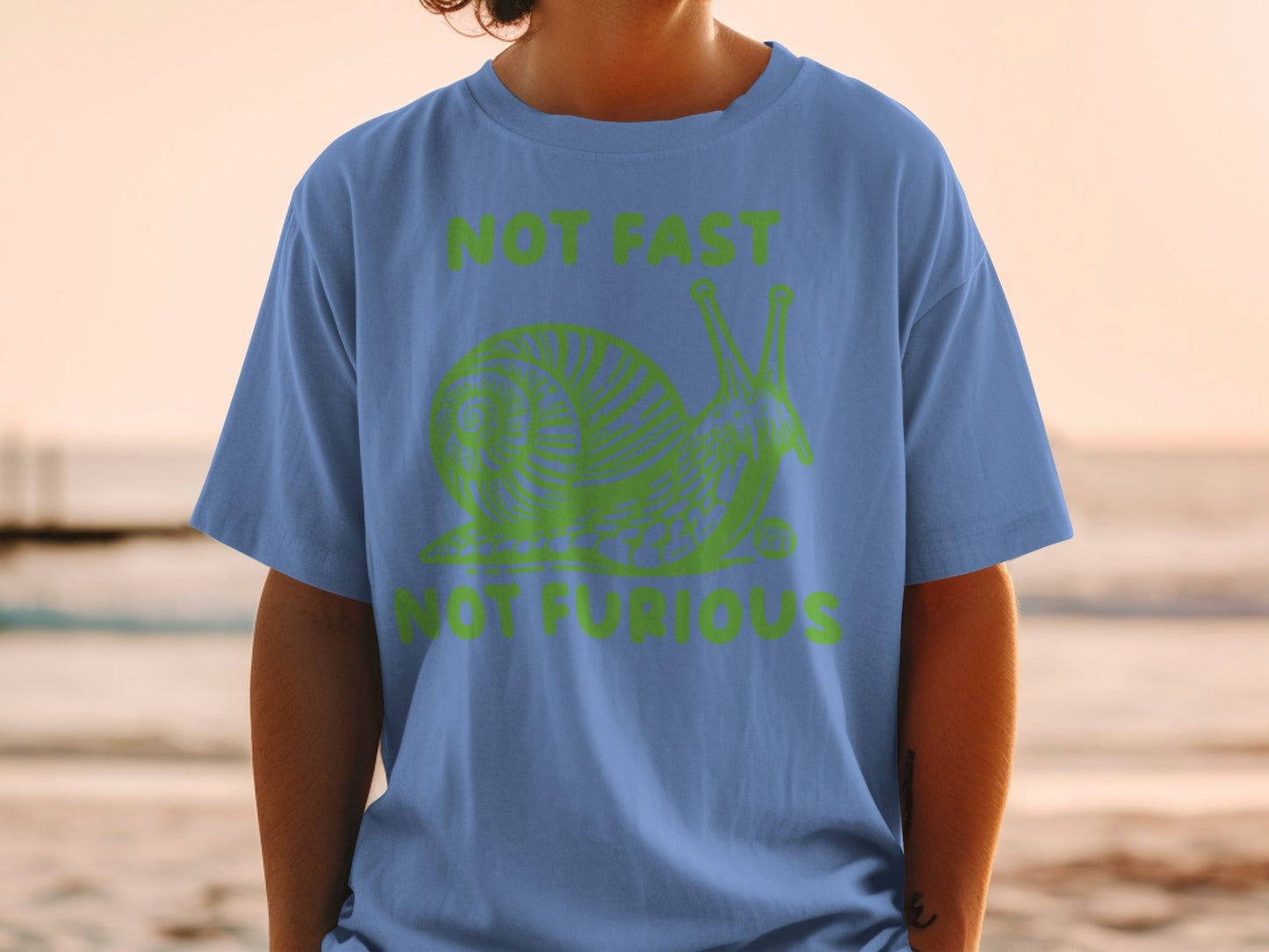 Not Fast Not Furious Funny Snail Graphic Shirt