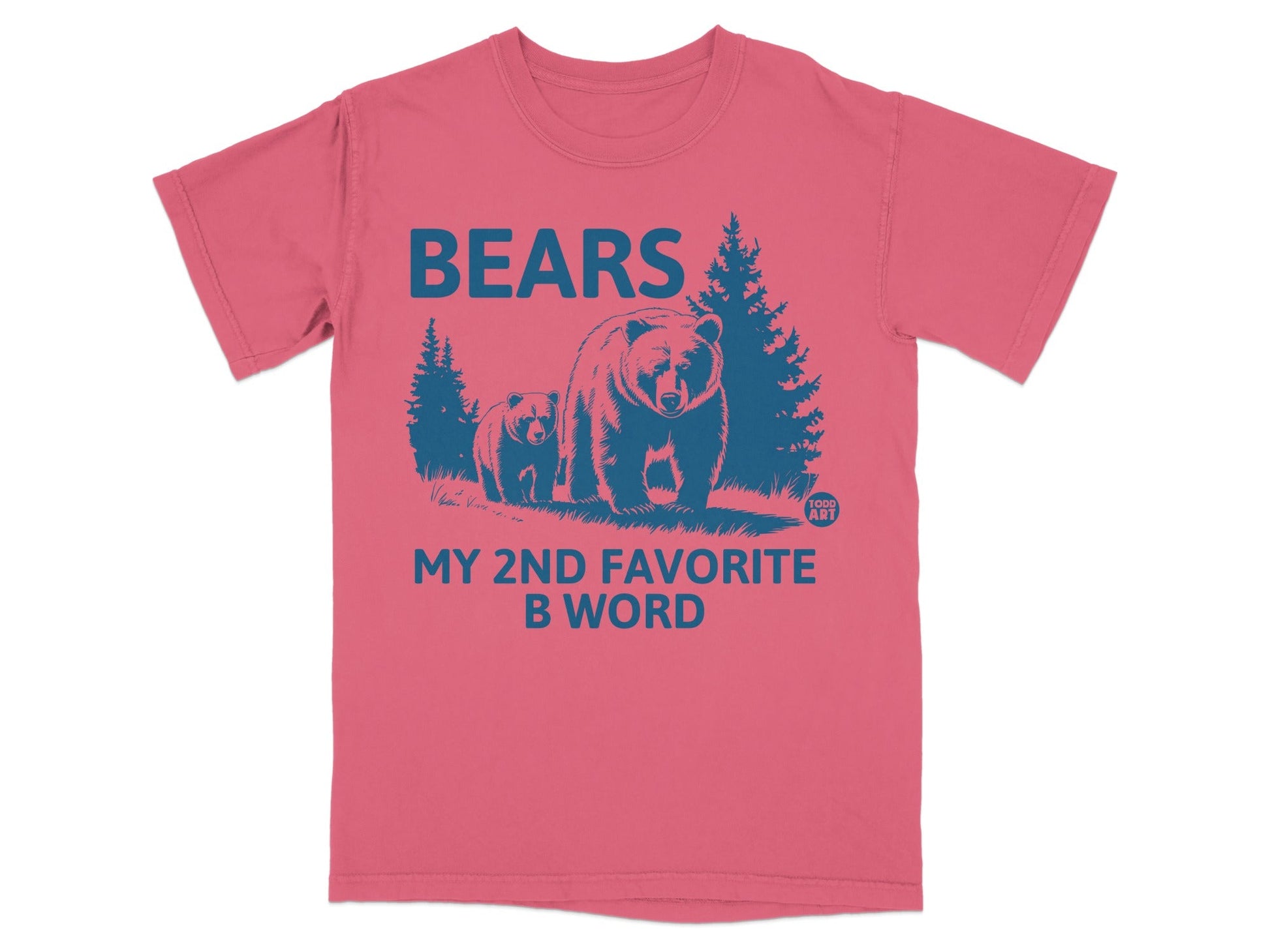Bears My 2nd Favorite B Word Graphic T-shirt