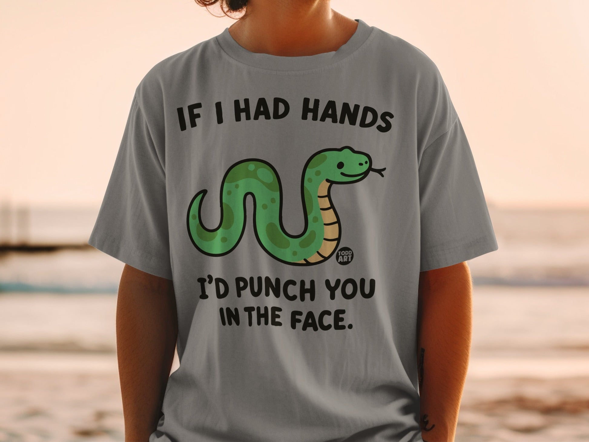 Grey t-shirt with cartoon snake and text "IF I HAD HANDS I'D PUNCH YOU IN THE FACE."